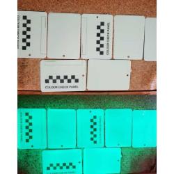 Vernis phosphorescent 1.5kg VERT
