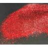sclipici decorativi holografici Stardust - Seria LA