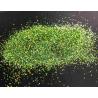 sclipici decorativi holografici Stardust - Seria LA