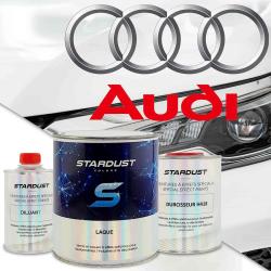 Cod culoare Audi - spray de vopsea 2K sau cutie cu intaritor"