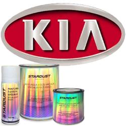 Vopsea auto dublustrat pe bază de solvent care necesită lăcuire – culoare constructor