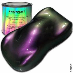 250 ml / 500 ml Vopsea pe bază de solvent - Cameleon