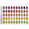 Vopsea hidrometalizată cu efect perlat – Culoare la cerere CHROMATIC