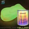 1L Peinture phosphorescente Night-glow TURQUOISE