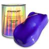 Kit complet de vopsea fluorescentă pentru biciclete